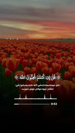Quran Post Trend ♥️🎧