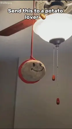 Potato