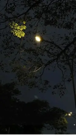 Ai Rồi cũng thay đổi