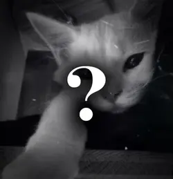 ?