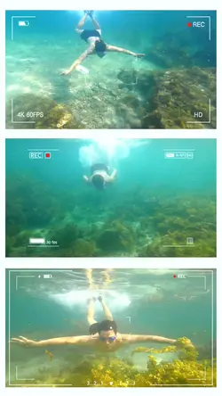 Mẫu video lặn biển