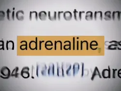 adrenaline