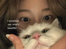 lyrics song