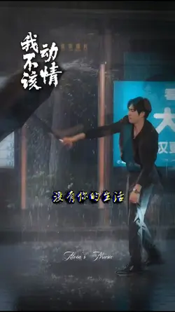 我不该动情