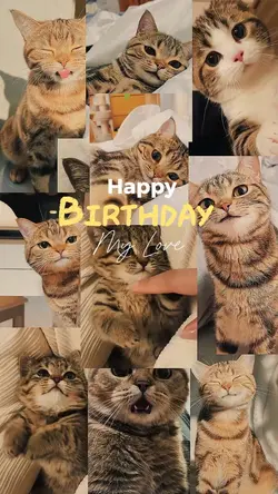 Birthday My Love 🐱