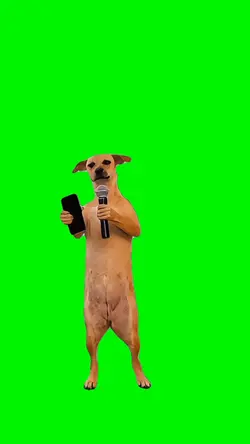 Dog Singing