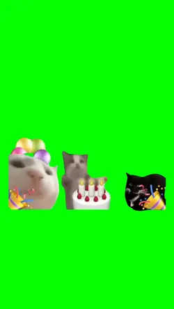 Birthday wishes