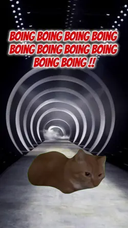 bouncing cat meme