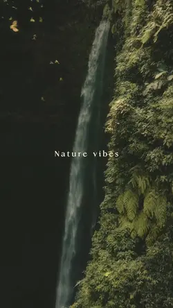 Nature aesthetic 