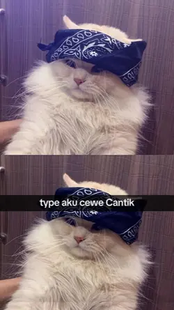 TREND TYPE AKU