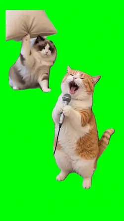 Gato cantando 