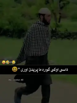 pashto poetry 