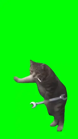 kucing montir 