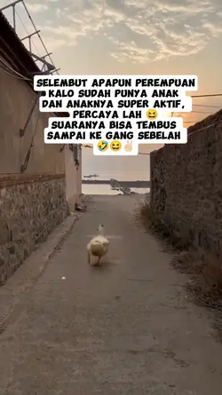 STATUS LUCU