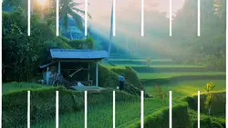 Datar 4 video