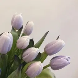 3 foto