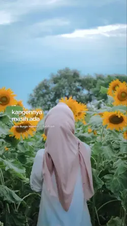 Gala bunga matahari