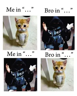 Me vs bro