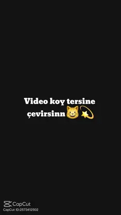 tersine çevirsin 