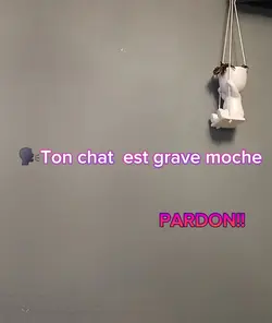 mon chat,moche non