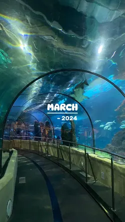 March 2024