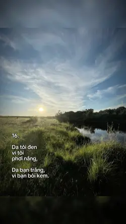 1 ảnh + caption