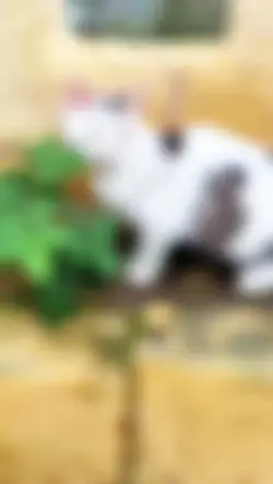 Smooth velocity edit