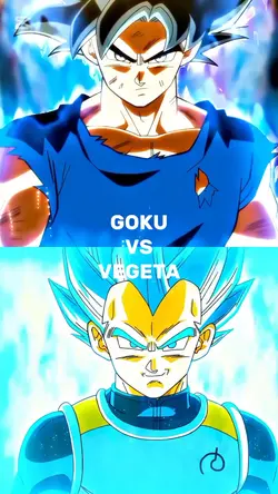 GOKU VS VEGETA