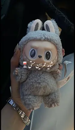 شاید عمر این مستی