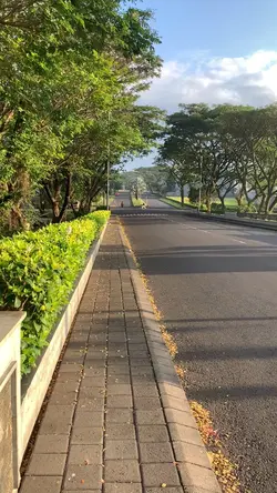 Morning Walking