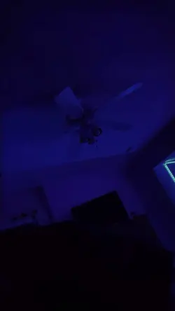 bubblr