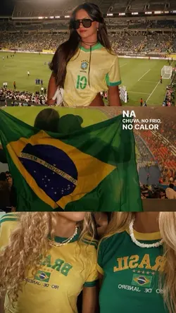 B R A S I L 🇧🇷