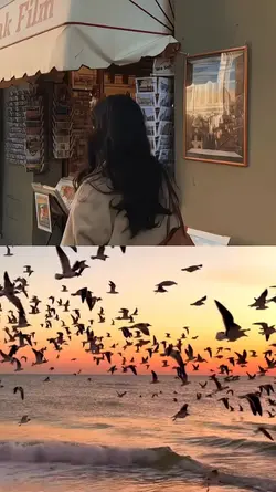 2 grid videos 