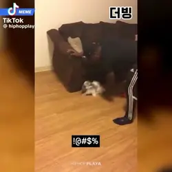 더빙