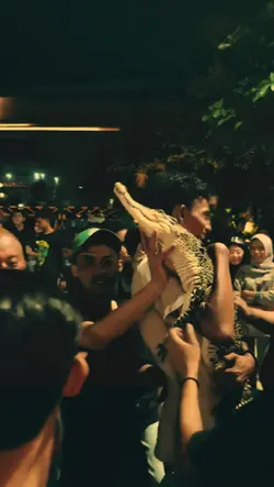 memori indah bonek