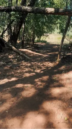 Fade in Nature