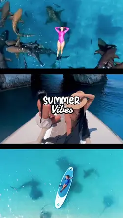SUMMER VIBES