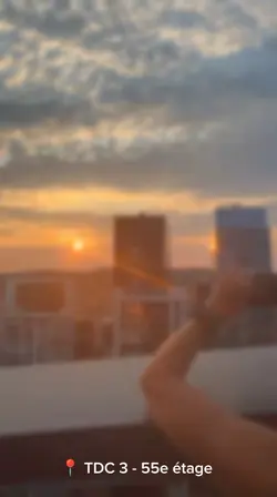 TDC3