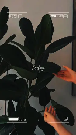 Today planting ✨