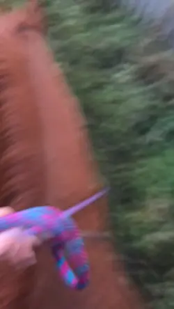 Slow mo