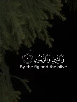 ﴾ سورہ التين ﴿ 