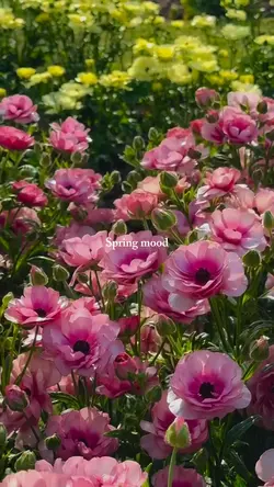 Spring mood