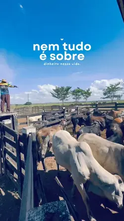 Fazenda | Trend