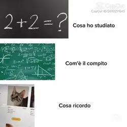 meme sulla scuola