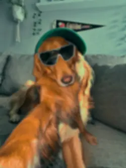 my doggie 