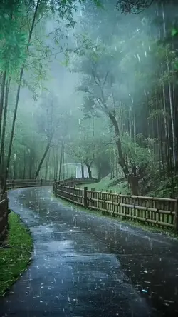 Rain Aesthetic