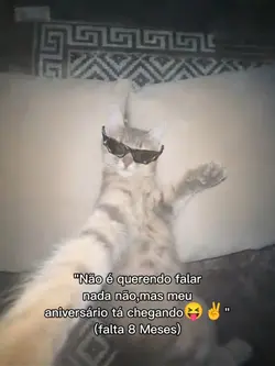 usem pfvv
