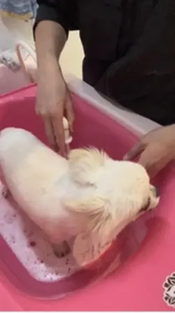 動画編集