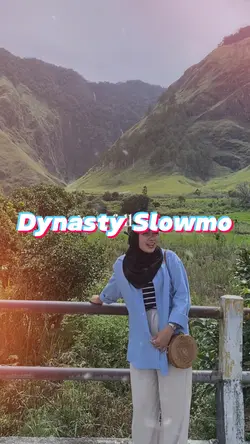 Dynasty