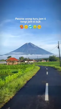 pesona turu sedilit